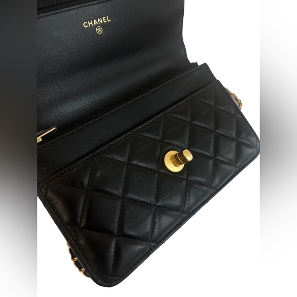 23A Chanel limited edition Leo wallet on chain - Picture 9 of 11